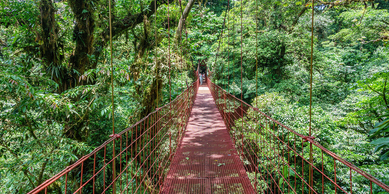 Costa Rica Monteverde Cloud Forest