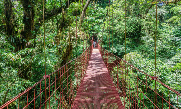 Costa Rica Monteverde Cloud Forest